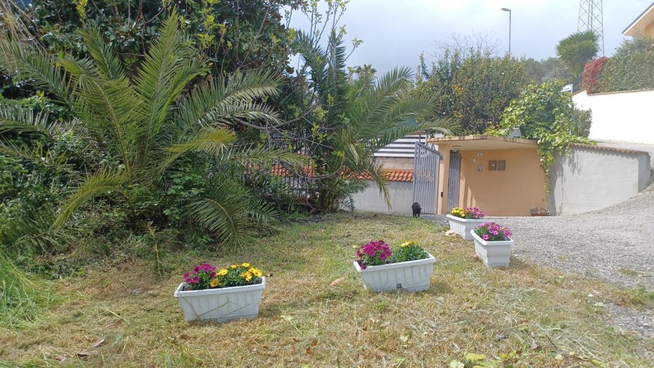 B&B Verena, Casa Ferrari Colonnella Eksteriør billede